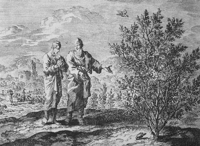Il granello di senape, Incisione di Jan Luyken Il granello di senape, Incisione di Jan Luyken