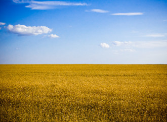 Guerra al grano ucraino, esempio di superficialità Ue