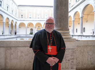 La Chiesa tedesca e Afd, un no senza principi di dottrina