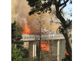 Incendi, il mito del Grande Piromane