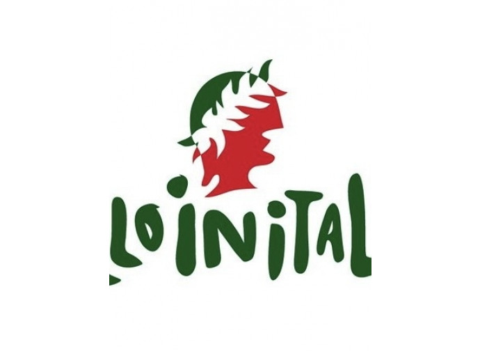Il logo di #dilloinitaliano Il logo di #dilloinitaliano