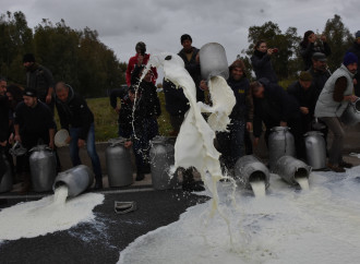 La crisi del latte sardo: quali soluzioni per uscirne