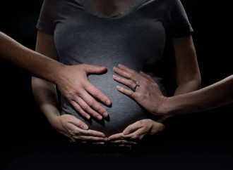 Moratoria sull'utero in affitto