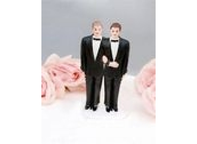 Matrimonio gay Matrimonio gay