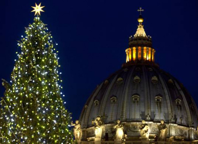 L'albero di Natale in piazza San Pietro