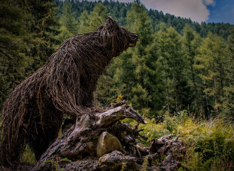 I boschi sono degli orsi. Gli umani stiano nelle riserve