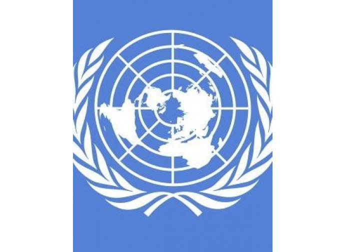 Il simbolo dell'Onu Il simbolo dell'Onu