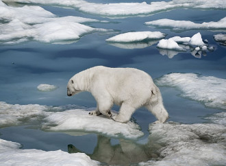 Basta accusare l'uomo per un'emergenza climatica che non c'è