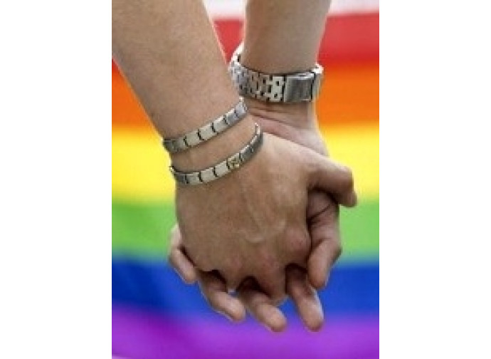 Il ddl Cirinnà non riguarda solo le unioni gay Il ddl Cirinnà non riguarda solo le unioni gay