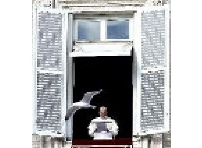 Il Papa all'Angelus Il Papa all'Angelus