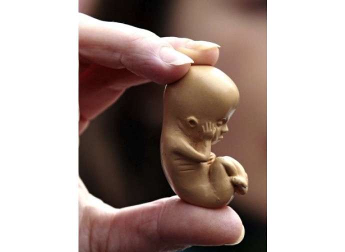 La battaglia contro l'aborto e una battaglia per la verità La battaglia contro l'aborto e una battaglia per la verità