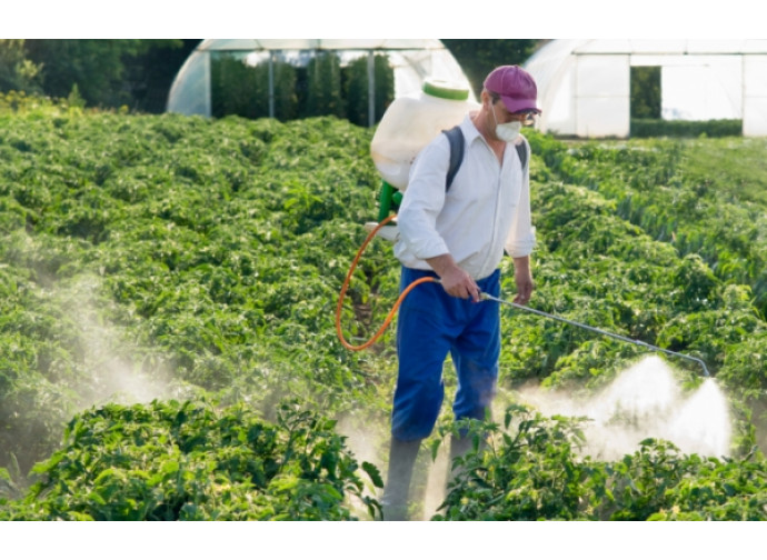 I pesticidi, alcuni tipi sono causa di sterilità I pesticidi, alcuni tipi sono causa di sterilità
