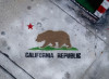 17 Stati contro la California