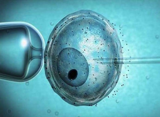 Alabama, la Corte Suprema: embrioni congelati = bambini