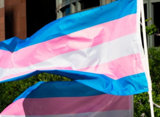 150 organizzazioni arcobaleno contro la "transfobia"