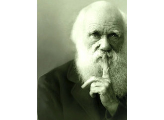 Uno  storione pallido sbugiarda  Darwin (e l’evoluzione)