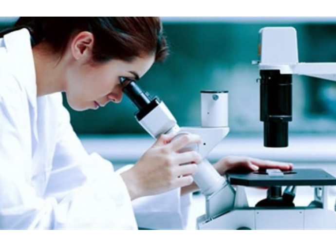 Ricerca sulla Sclerosi laterale amniotrofica Ricerca sulla Sclerosi laterale amniotrofica