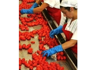 Cosa manca 
all’Italia per 
vincere la crisi