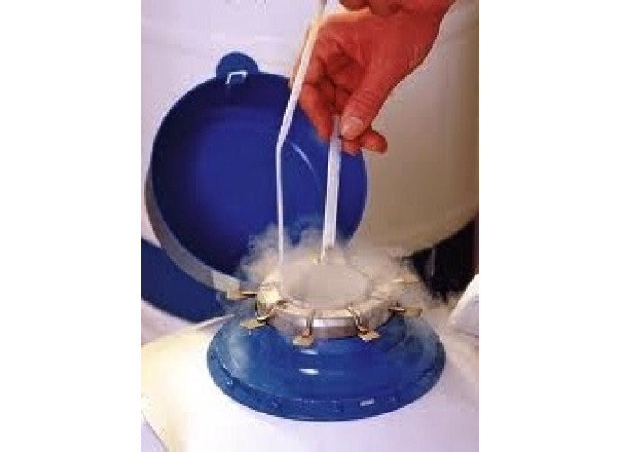 Embrioni congelati Embrioni congelati