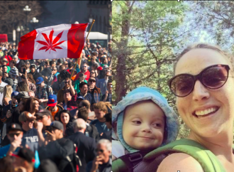 Canada: festa alla cannabis mentre una mamma muore