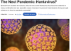 Hantavirus, la "profezia" di Gavi sulla prossima pandemia