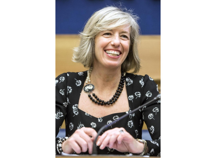 Il ministro Giannini Il ministro Giannini