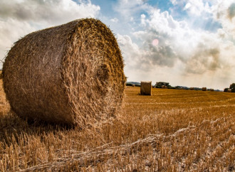 Come fieno appassiranno, ovvero: il senso dell’attesa