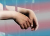 Missouri e i detenuti trans