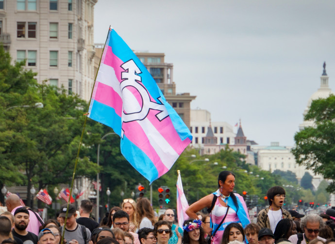 La bandiera trans