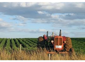 Ci salverà (forse) l'agricoltura