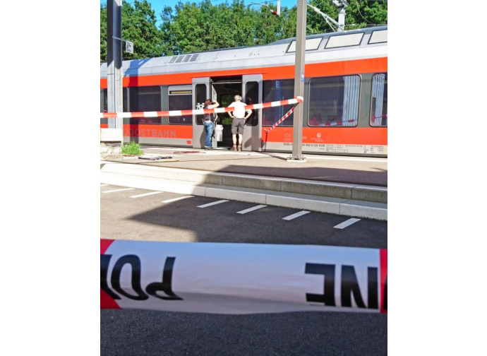 Svizzera, il treno assalito Svizzera, il treno assalito