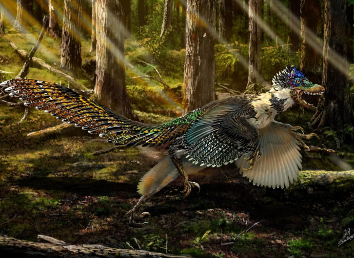 Uccellosauro