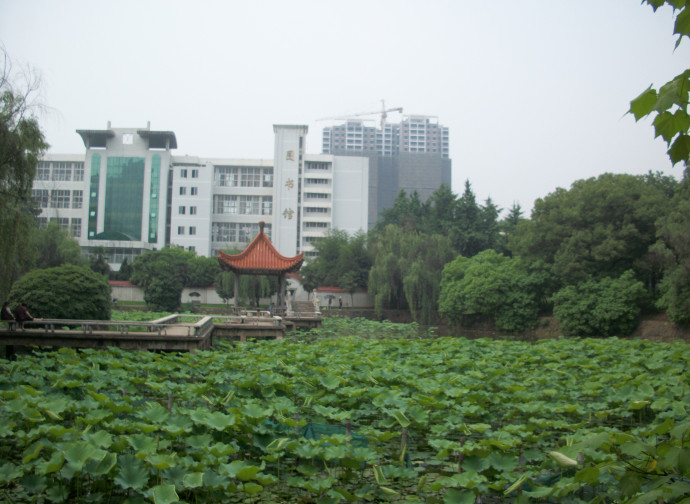 L'Istituto per la Tecnologia di Wuhan L'Istituto per la Tecnologia di Wuhan