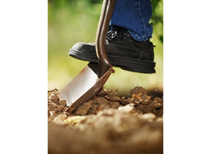 Agricoltura Agricoltura